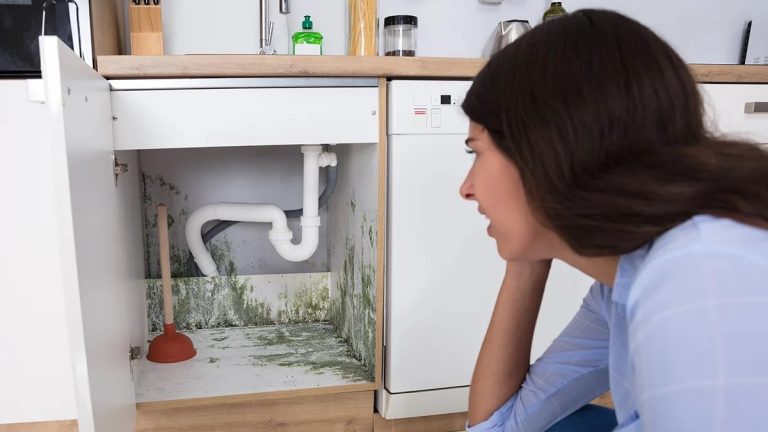 Schimmel heeft zich verspreid over de kast onder de wastafel.